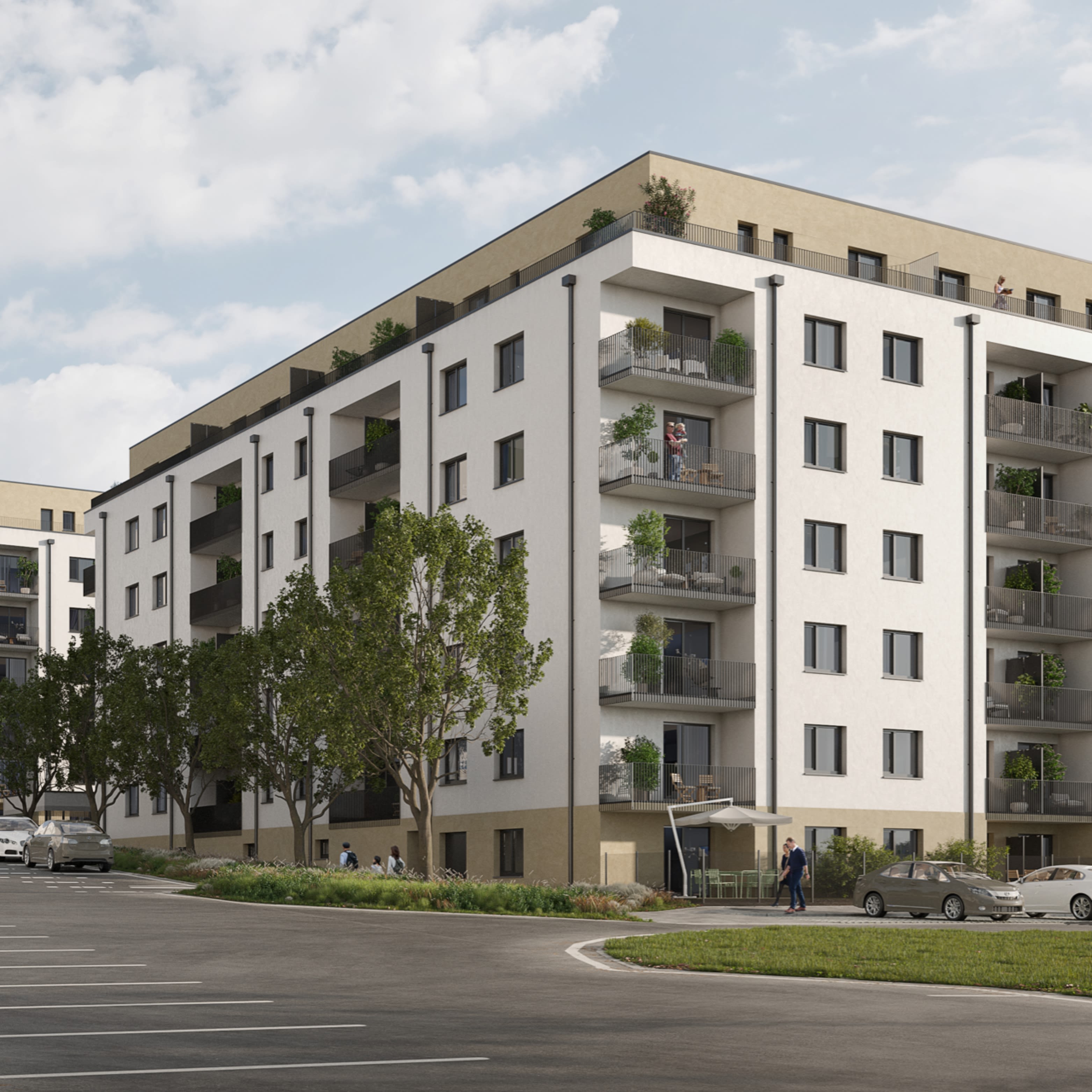 Projekt Resort Mírová