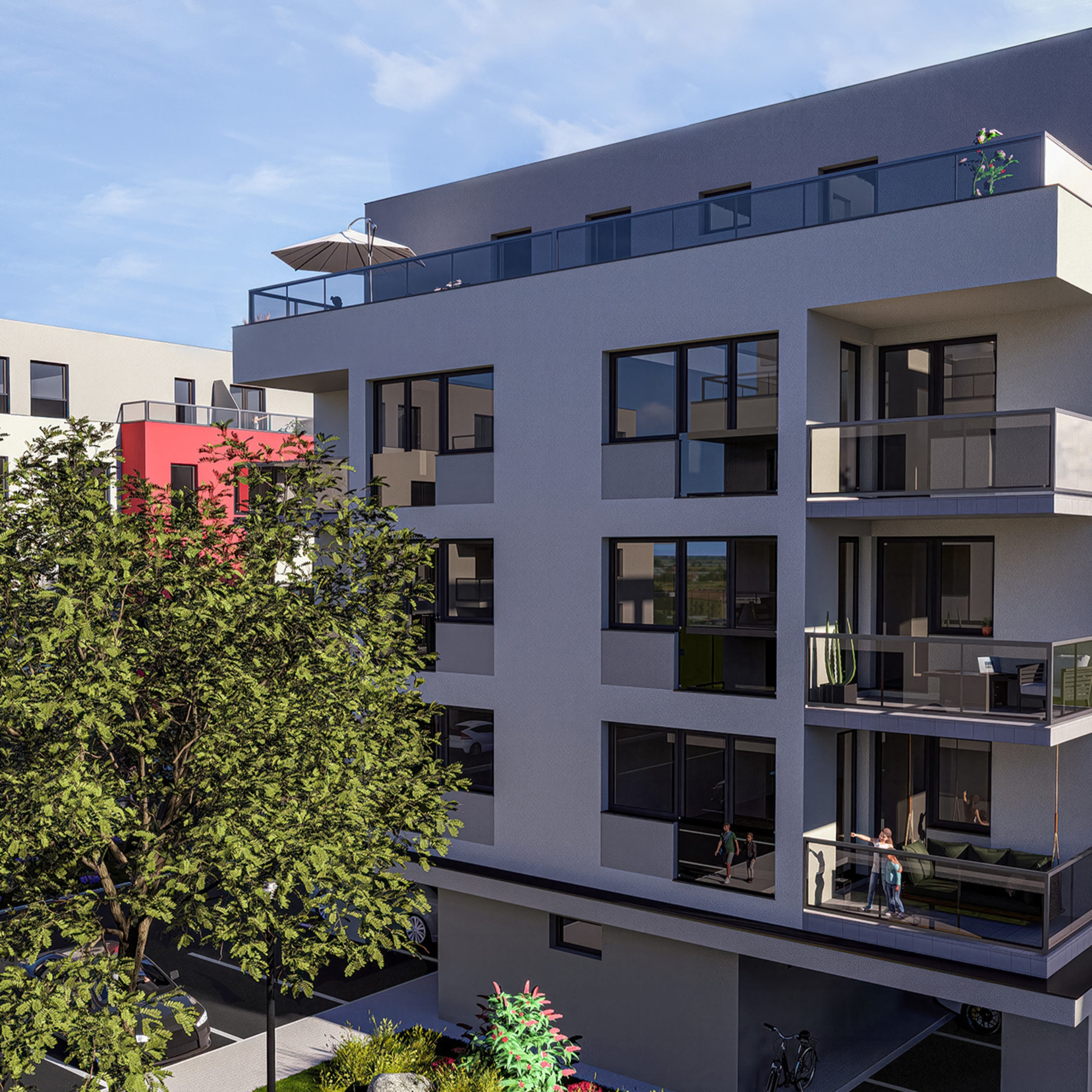 Projekt Nové Dašice